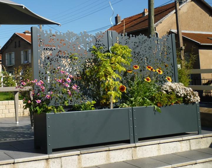 Jardinière Ambellya