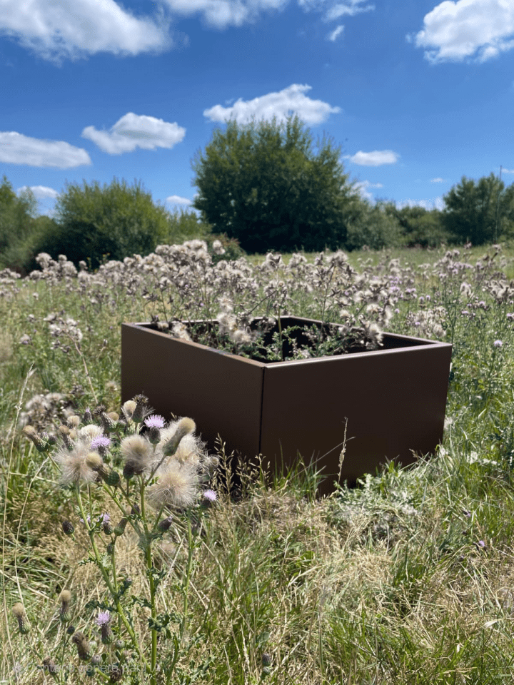 Jardinière Ambellya_Modèle Clairière