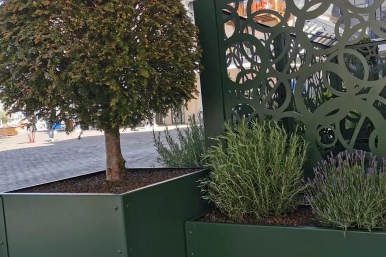 Jardinière Ambellya