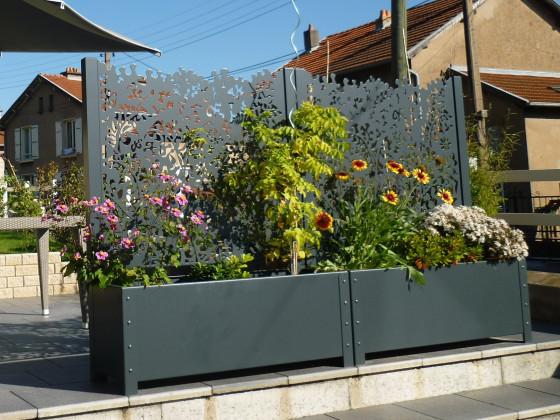 Jardinière Ambellya