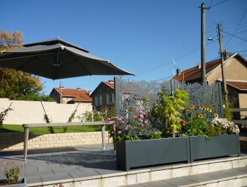 Jardinière Ambellya